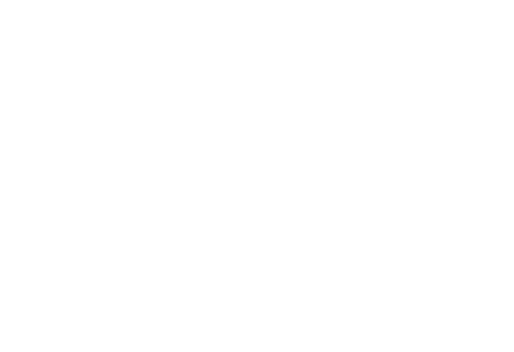 TOP DOG